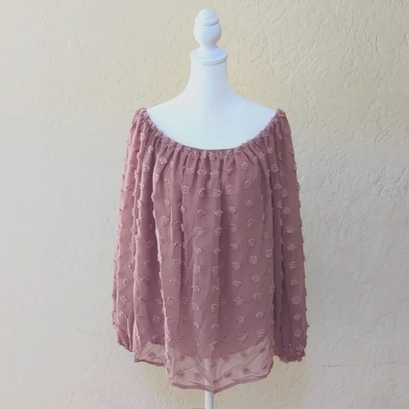 NWOT Miss Sparkling Boutique Layered Chiffon Swiss Dot Rose Blouse Size XL - Picture 4 of 9
